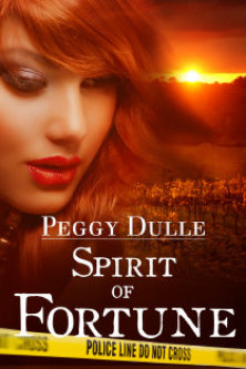 Spirit of Fortune book cover